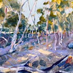 Coondle Woodlands - Acrylic on Canvas 56x76cm