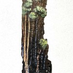 Toodyay Gaol Shingle 2